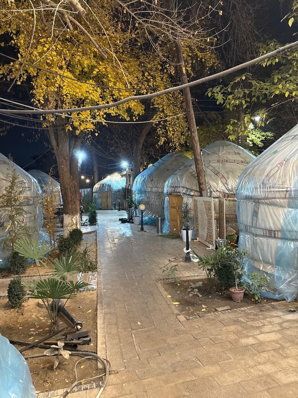 Yurta art